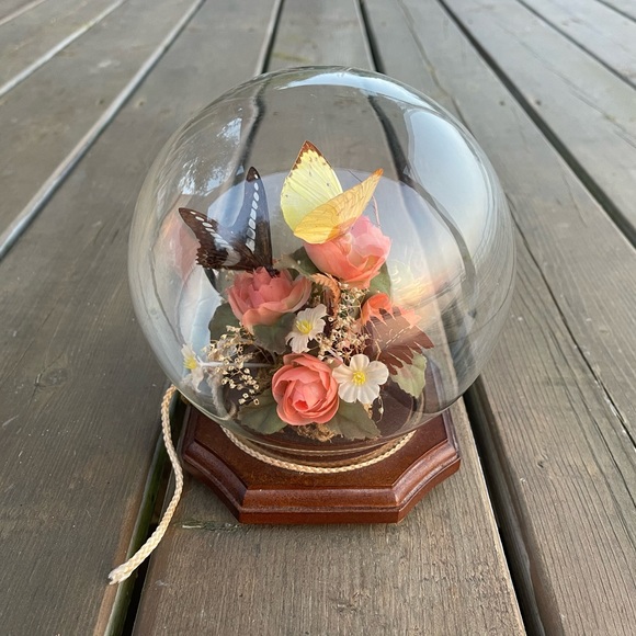 Vintage Real Butterfly Taxidermy Solid Glass Dome Globe Wood Base - Picture 3 of 12